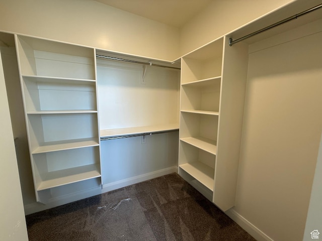 5523 N Honey Suckle Way, Eagle Mountain, UT 84005 - walk in closet with dark colored carpet