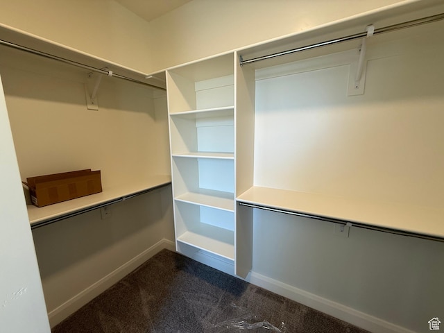 5523 N Honey Suckle Way, Eagle Mountain, UT 84005 - walk in closet featuring dark carpet