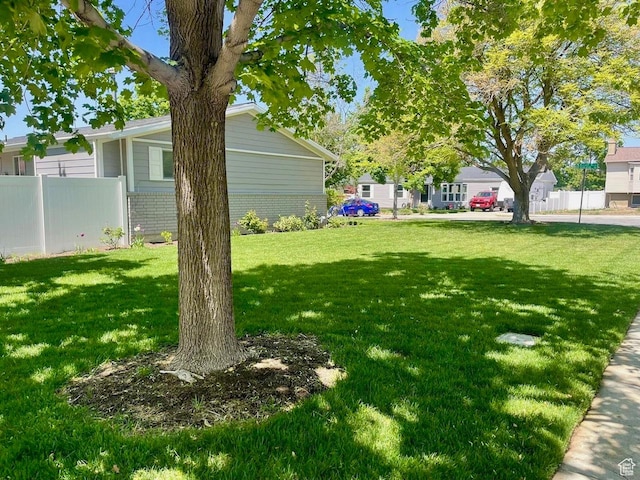 1460 E Amalfi Ave, Sandy, UT 84093 - view of yard