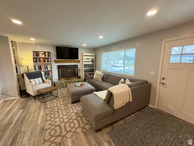 1460 E Amalfi Ave, Sandy, UT 84093 - living area with wood finished floors, a glass covered fireplace, and recessed lighting
