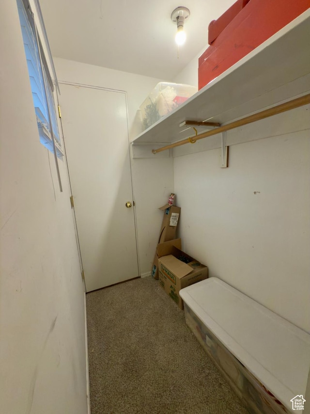 1460 E Amalfi Ave, Sandy, UT 84093 - walk in closet featuring carpet
