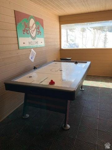 150 W Ridgeview St Unit 213, Brian Head, UT 84719 - playroom with wood ceiling and wooden walls
