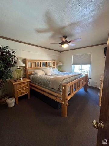 150 W Ridgeview St Unit 213, Brian Head, UT 84719 - bedroom with ceiling fan, crown molding, a textured ceiling, and dark colored carpet