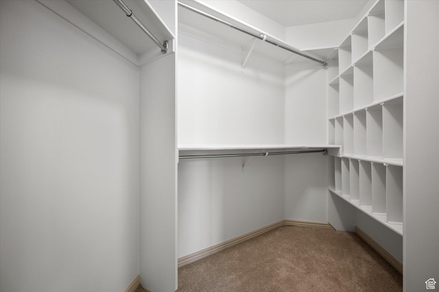 1952 E Meadow Downs Way, Cottonwood Heights, UT 84121 - spacious closet featuring carpet flooring