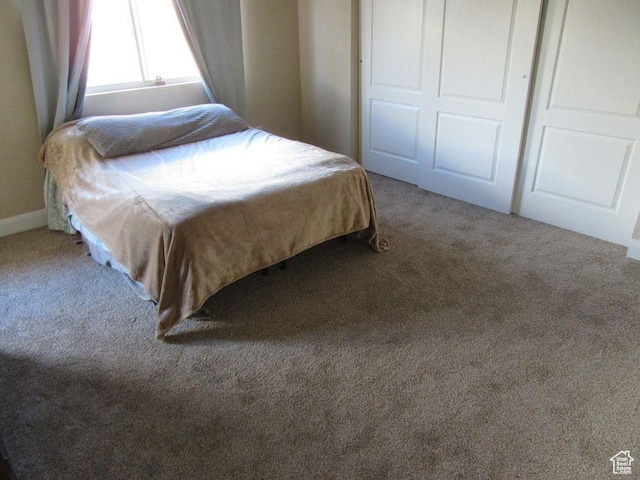 bedroom featuring carpet flooring