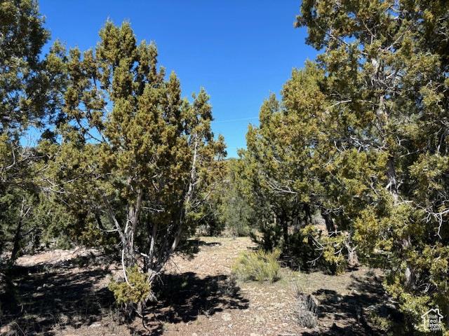 277 N Pinion Cir Unit 9, Central, UT 84722