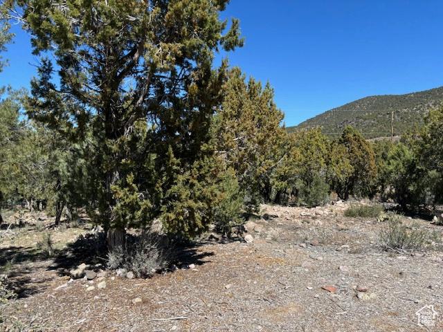 277 N Pinion Cir Unit 9, Central, UT 84722