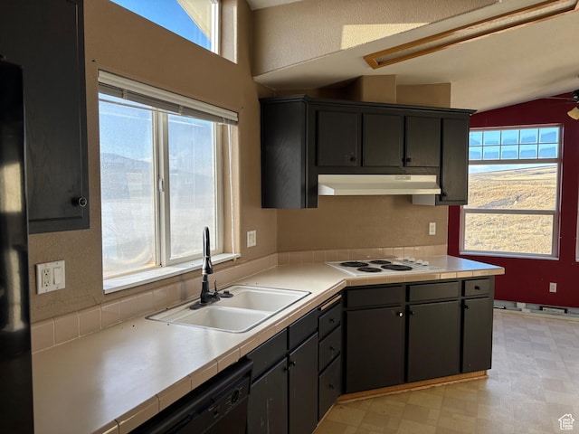 4981 N Daniels Rd, Malad City, ID 83252 - kitchen featuring dishwasher, ceiling fan, white electric stovetop, vaulted ceiling, and sink
