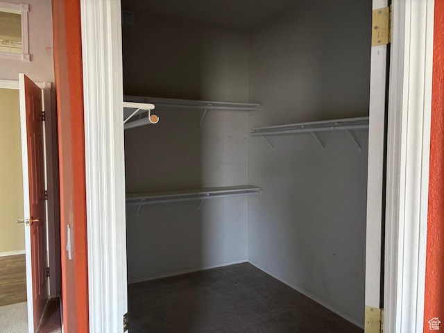 4981 N Daniels Rd, Malad City, ID 83252 - view of walk in closet