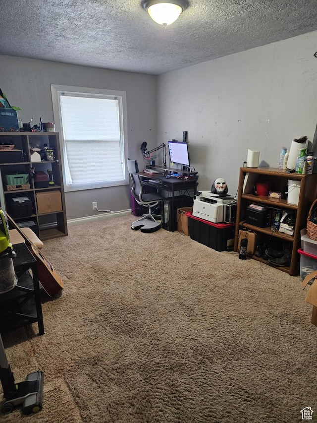 1060 E 30th S, Ogden, UT 84403 - office space with carpet, baseboards, and a textured ceiling
