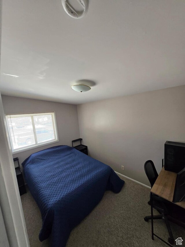19 Sumac Way, Brigham City, UT 84302 - bedroom featuring baseboards and carpet floors