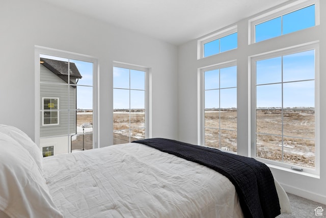 carpeted bedroom with multiple windows