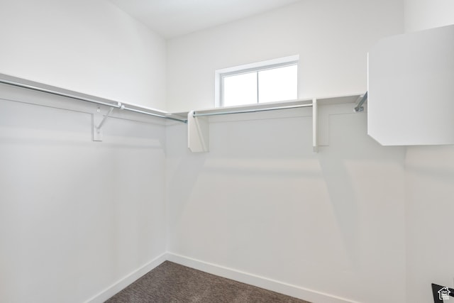 walk in closet with dark colored carpet