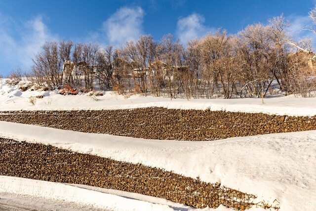 3297 W Deer Crest Estates Dr Unit 73, Park City, UT 84060