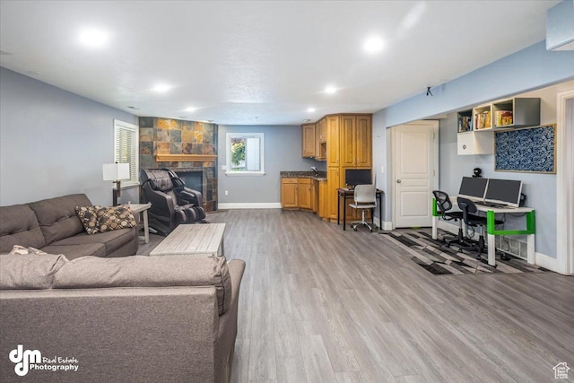 living room with hardwood / wood-style floors and a stone fireplace