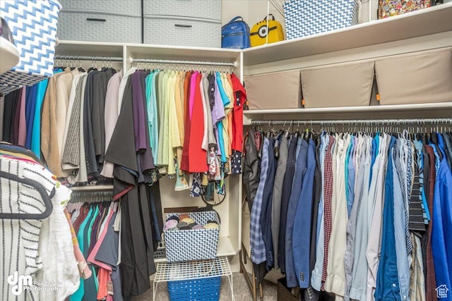 view of walk in closet