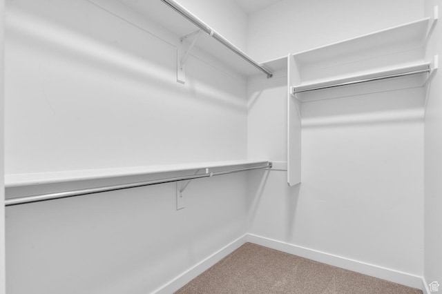 walk in closet with carpet