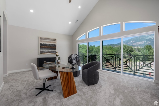 250 S Main St Unit 7, Alpine, UT 84004 - office space featuring light carpet and high vaulted ceiling