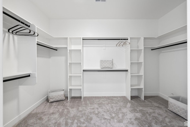 250 S Main St Unit 7, Alpine, UT 84004 - spacious closet with light carpet