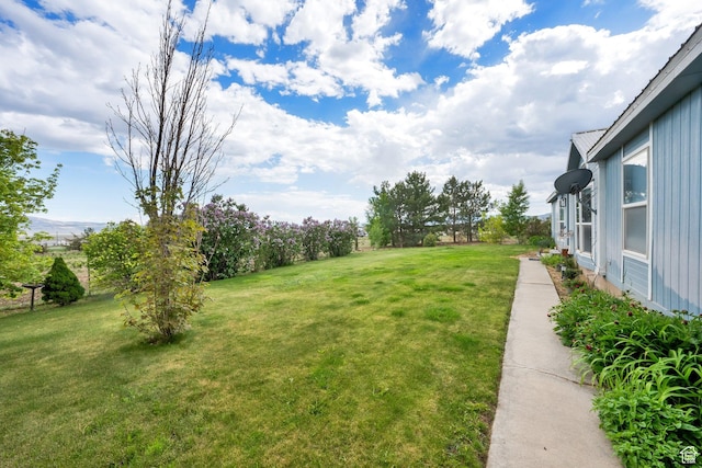 view of grassy yard