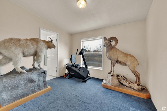 exercise area featuring carpet flooring and lofted ceiling