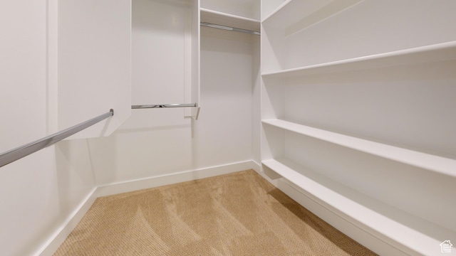 9270 N 5600 W Unit 7, Elwood, UT 84337 - walk in closet featuring light carpet