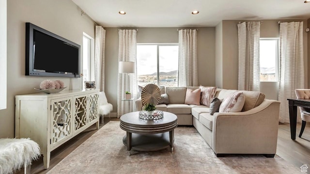 living room featuring wood-type flooring