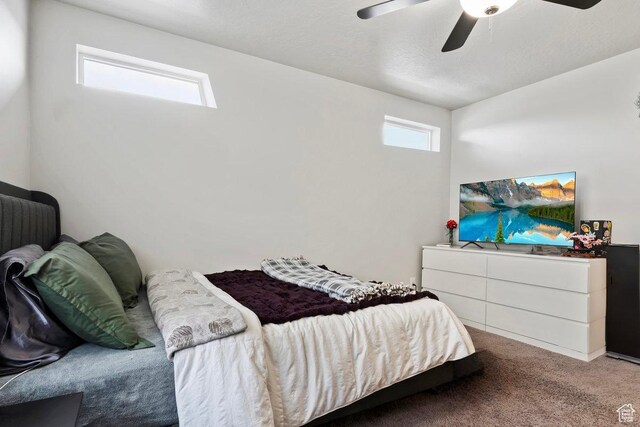 214 E Allegheny Pl S, Saratoga Springs, UT 84045 - carpeted bedroom featuring a ceiling fan