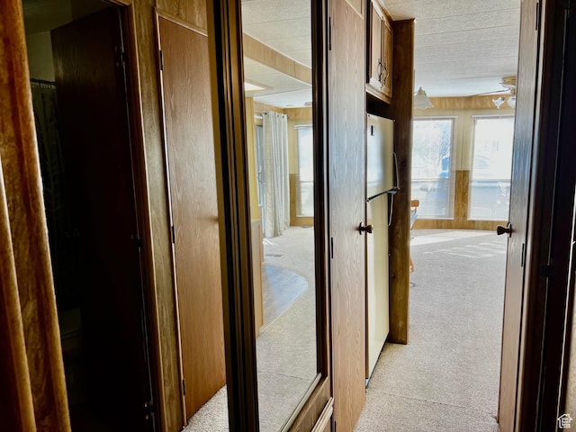 1160 E Telegraph St Unit 213, Washington, UT 84780 - hallway with light carpet