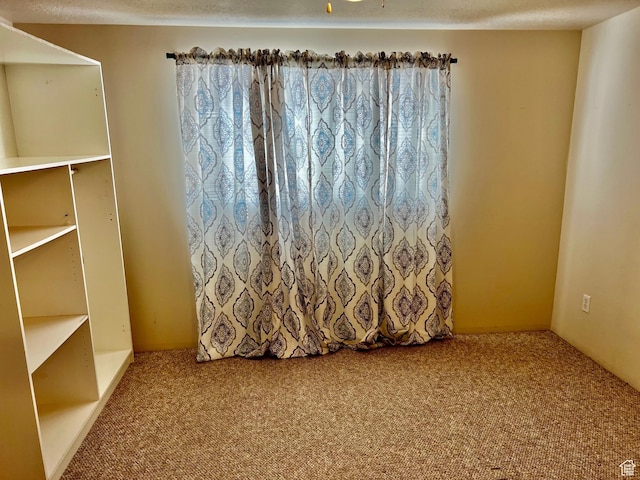 1160 E Telegraph St Unit 213, Washington, UT 84780 - unfurnished room featuring carpet floors and a textured ceiling