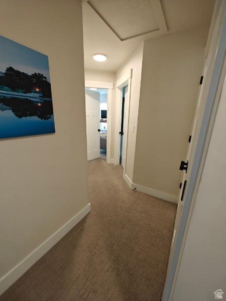 3469 S Bellrock Pl E Unit 5, South Salt Lake, UT 84115 - corridor featuring light carpet