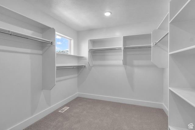 spacious closet featuring carpet and visible vents