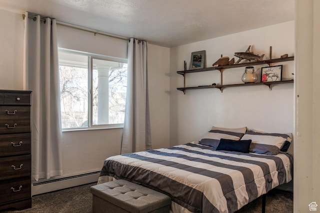 1105 S 500 W, Vernal, UT 84078 - carpeted bedroom with a baseboard heating unit