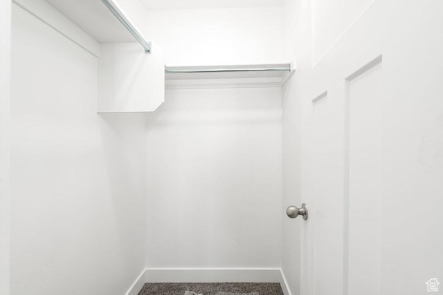 1152 W High Plains Dr Unit 612, Grantsville, UT 84029 - spacious closet with carpet