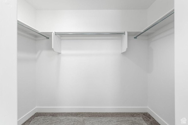 1152 W High Plains Dr Unit 612, Grantsville, UT 84029 - walk in closet with carpet floors