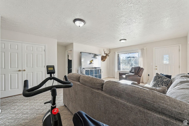 carpeted living room featuring a textured ceiling