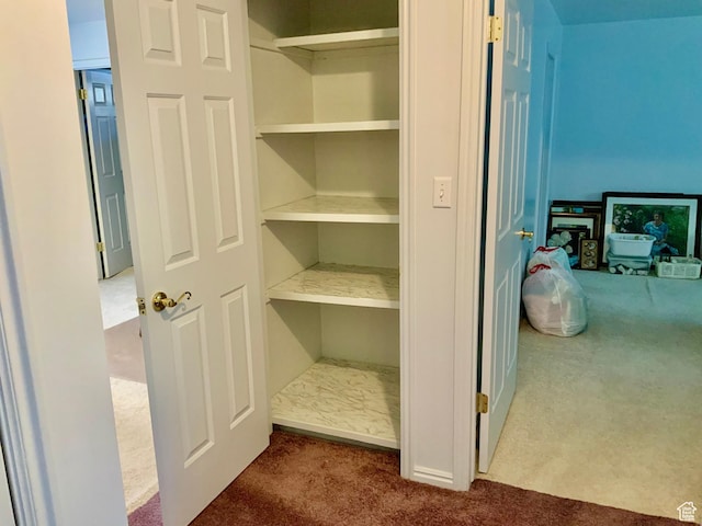 view of closet