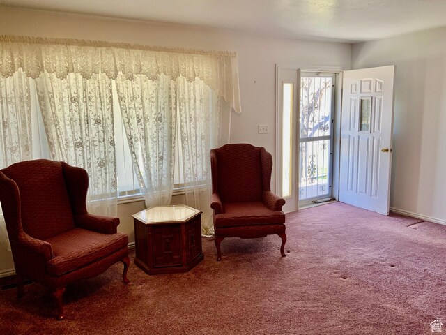 living area with carpet floors