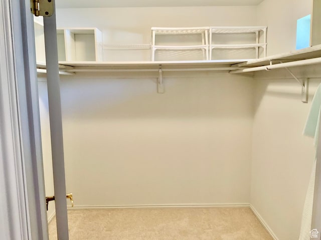 walk in closet featuring light carpet