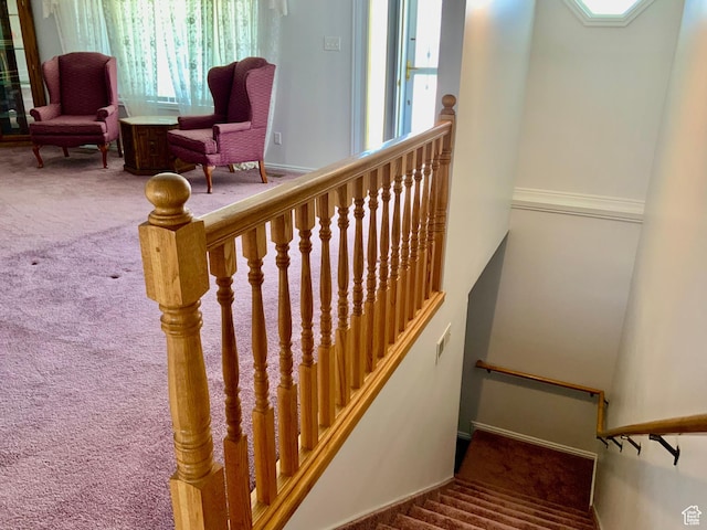 stairs featuring carpet flooring