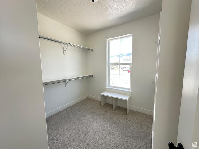 325 N 1040 E Unit 26, Salem, UT 84653 - spacious closet with carpet flooring