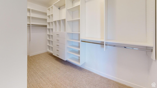 246 S 2800 E Unit 110, Spanish Fork, UT 84660 - spacious closet with light carpet