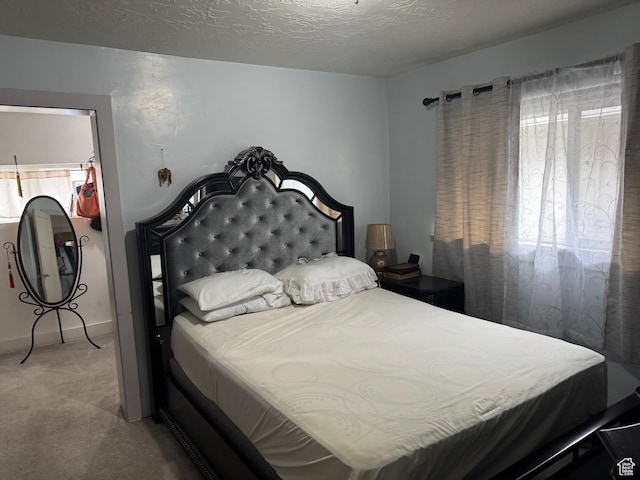 1135 S State St E, Salt Lake City, UT 84111 - carpeted bedroom featuring baseboards, multiple windows, and a textured ceiling