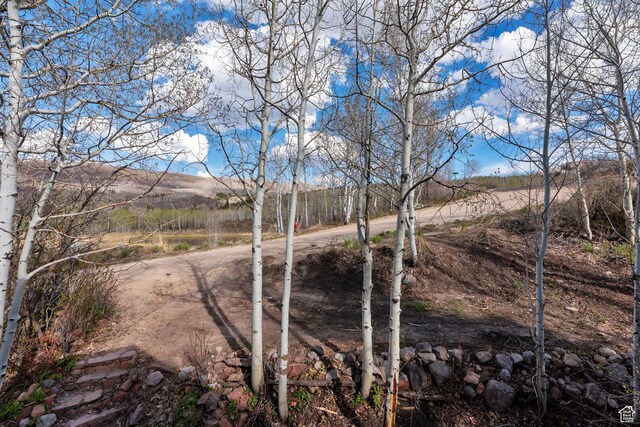 10481 E Spring Creek Dr Unit 722, Heber City, UT 84032 - view of local wilderness