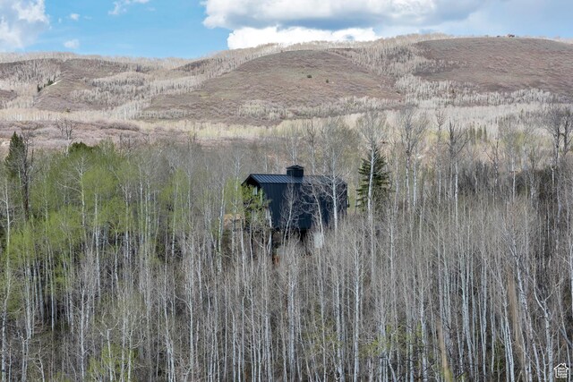 10481 E Spring Creek Dr Unit 722, Heber City, UT 84032 - view of mountain feature