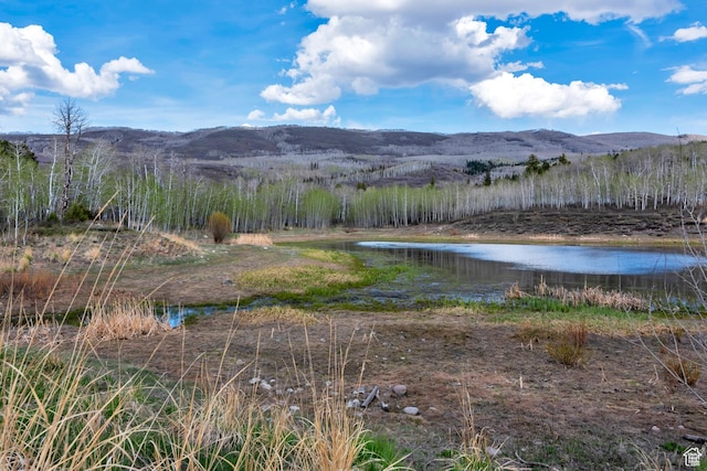 10481 E Spring Creek Dr Unit 722, Heber City, UT 84032 - view of mountain feature featuring a water view