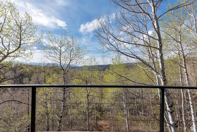 10481 E Spring Creek Dr Unit 722, Heber City, UT 84032 - view of balcony