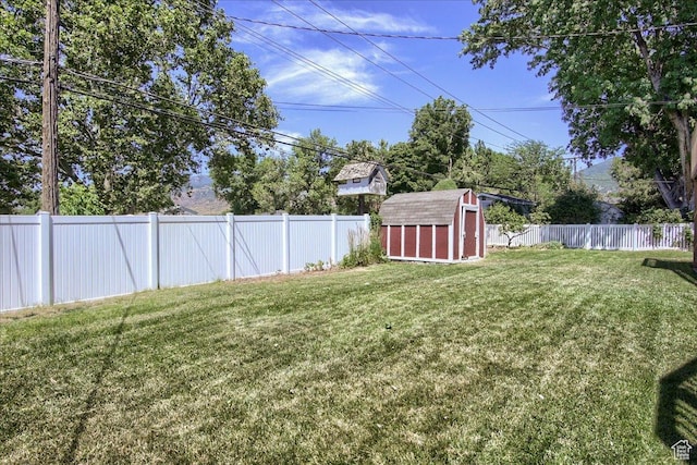 view of yard featuring a shed