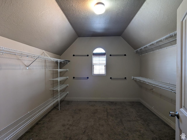 3006 E Somerset Dr, Spanish Fork, UT 84660 - spacious closet with carpet flooring and vaulted ceiling