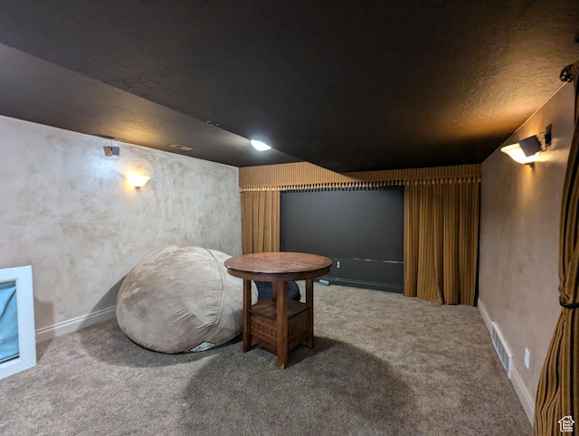 3006 E Somerset Dr, Spanish Fork, UT 84660 - cinema featuring baseboards, carpet, and visible vents
